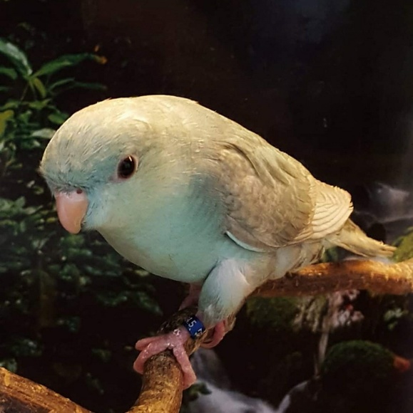 linnie14711